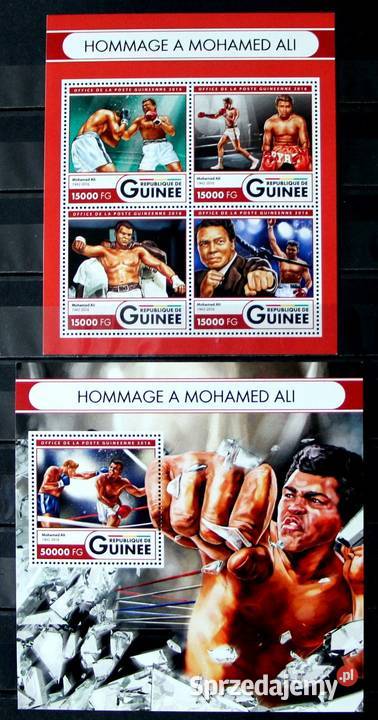 Gwinea boks Oborniki