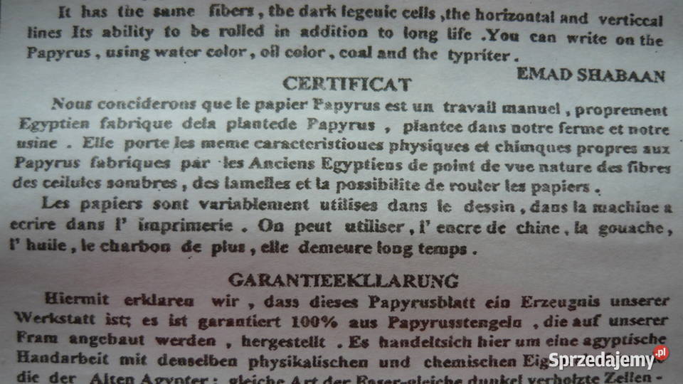 Papirus Myszków sprzedam