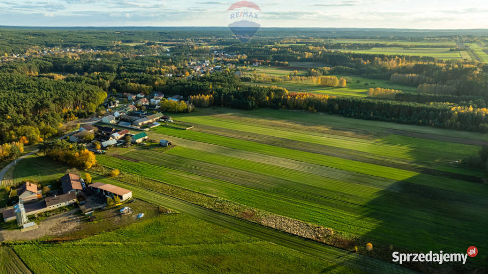 Dom z potencjałem w Toporowie z dużą działką Toporów
