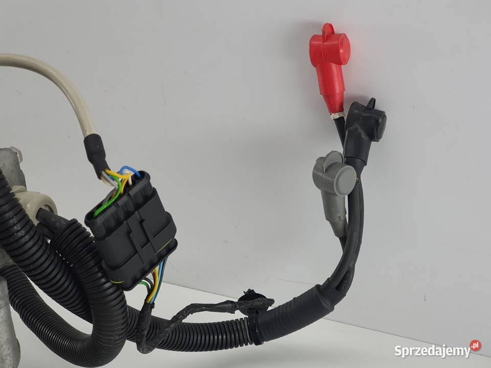 SILNIK ELEKTRYCZNY PEUGEOT EVIVACITY łódzkie Janowice