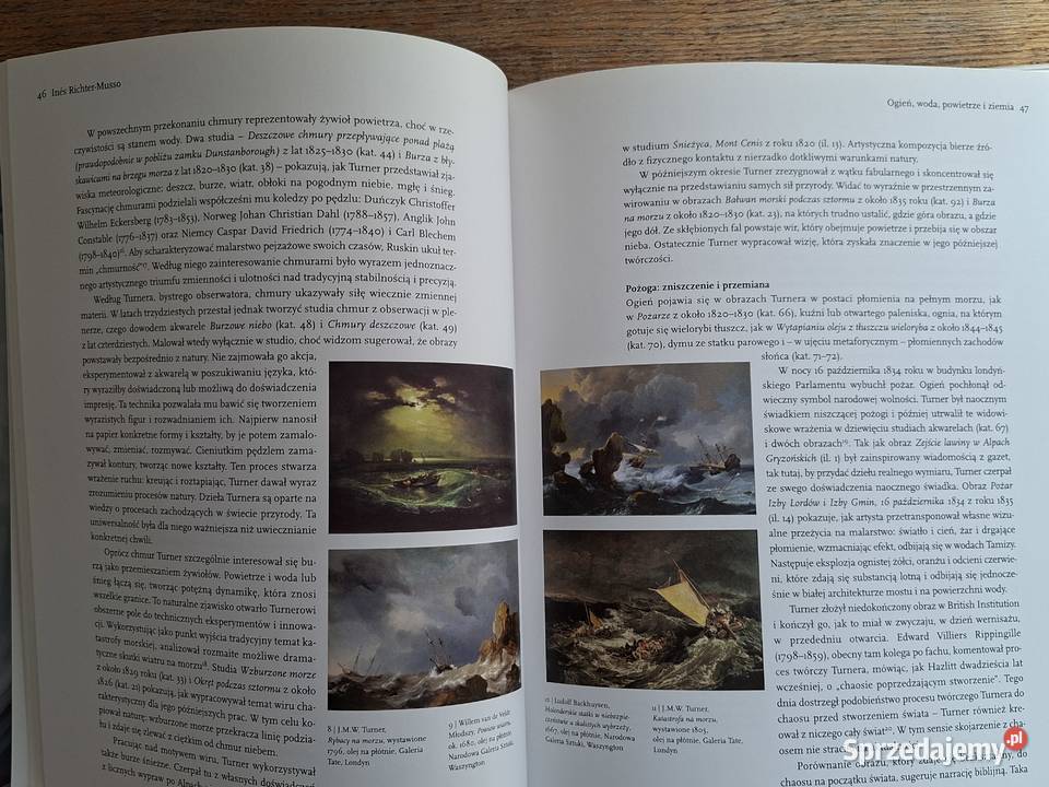 Turner malarz żywiołów Rok wydania 2011 Kraków