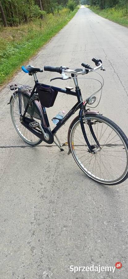 Rower Gazelle Davos Boiska-Kolonia