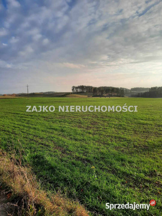 Działka 3152m2 Szypliszki podlaskie
