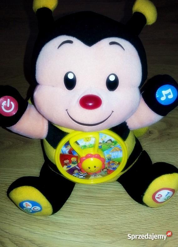 Pszczółka Tosia wielkopolskie Ostrów Wielkopolski