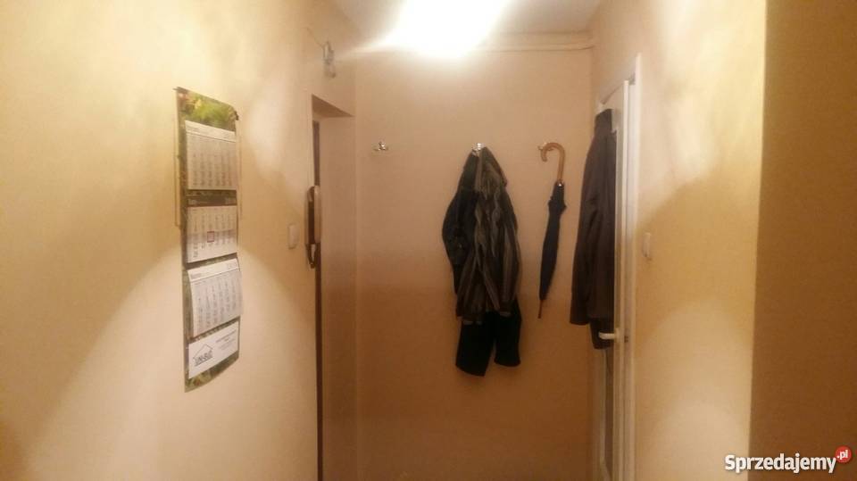 Kawalerka Nisko podkarpackie Nisko