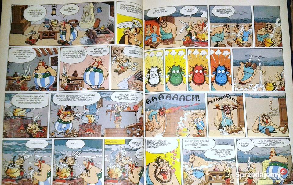 Asterix Laury Cezara Rene Goscinny Albert Uderzo