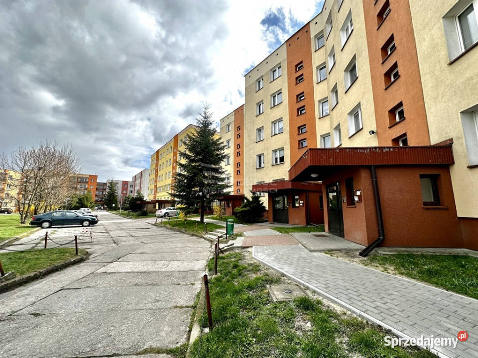 Mieszkanie osiedlu Zachód parter pow 615m2 lubelskie Chełm