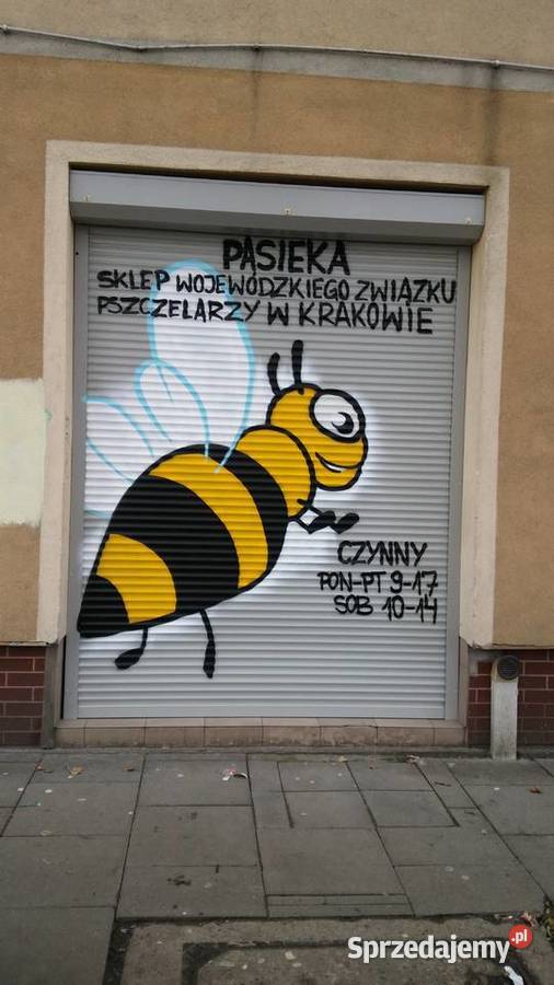 Wykonam obraz na ścianie Malowanie i tapetowanie śląskie Tychy