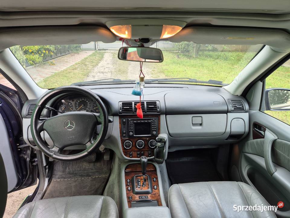 Mercedes ML270 CDI W163 2004 Kalisz