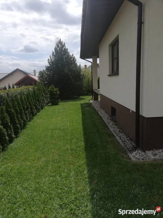 Sprzedam dom w Rykach Domy lubelskie Ryki