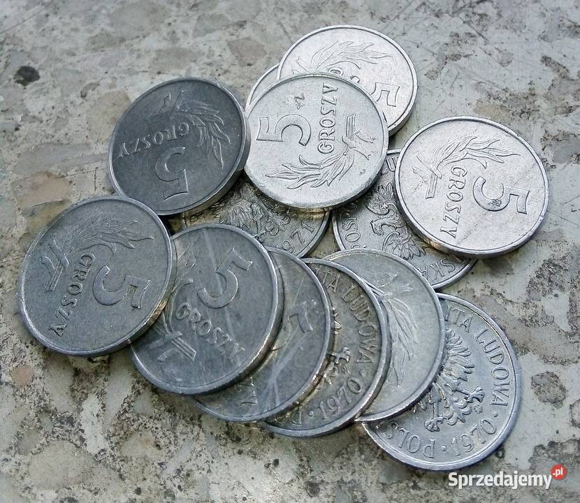 POLSKA 5 GROSZY 15 SZTUKAL Numizmatyka Legionowo
