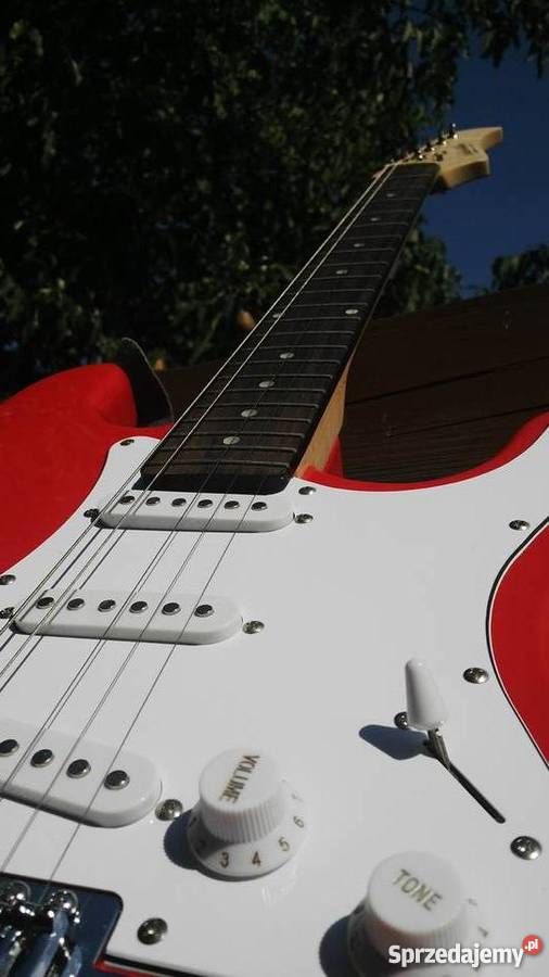 piękna Gitara elektryczna firm elektryczna Występ