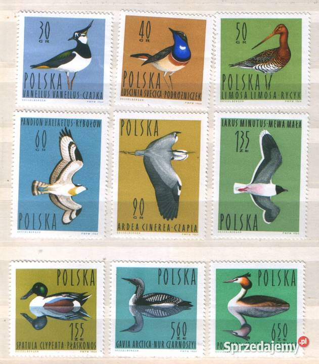 Zn Fi wykaz w opisie z 1964 Gliwice sprzedam