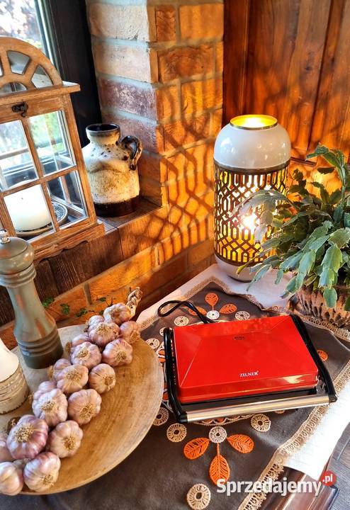 99 Grill elektryczny ZILNER śląskie Zabrze