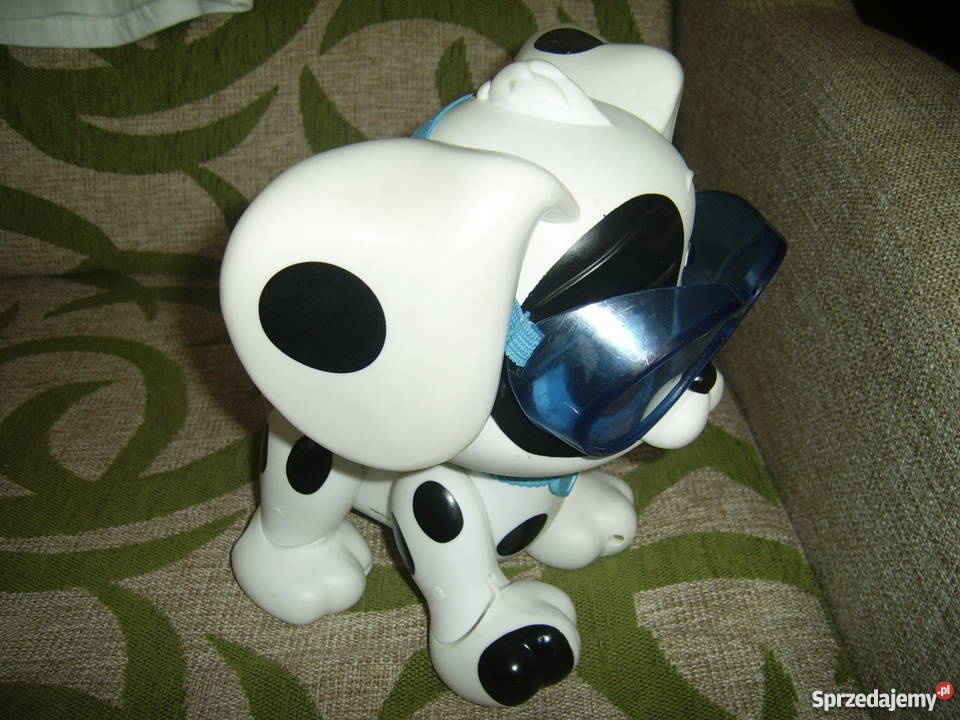 Płyń do mnie piesku Epee Sochaczew