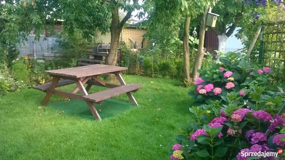 ogród działkowy ROD Szczecin Wyspa Pucka sprzedam