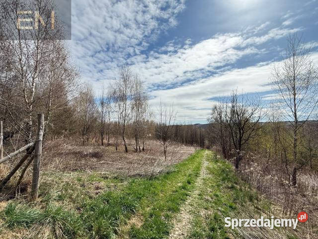 Działka 2500m2 Glinik Górny Sprzedaż