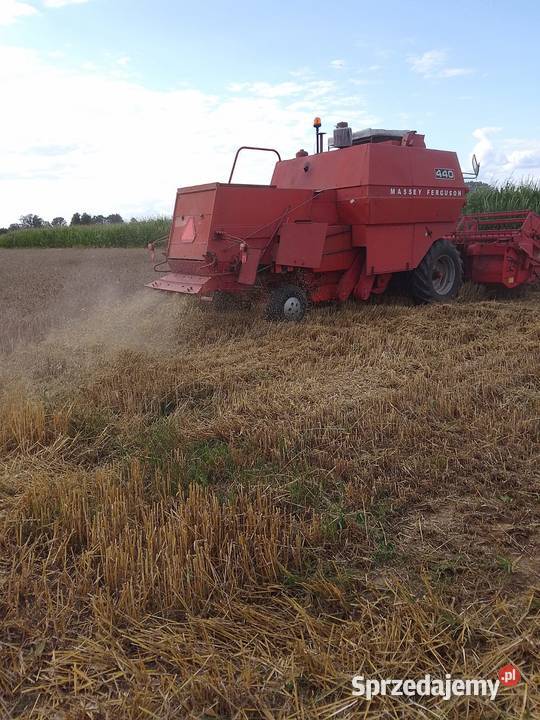 Kombajn Massey Ferguson 440 Rolnictwo Przeworsk
