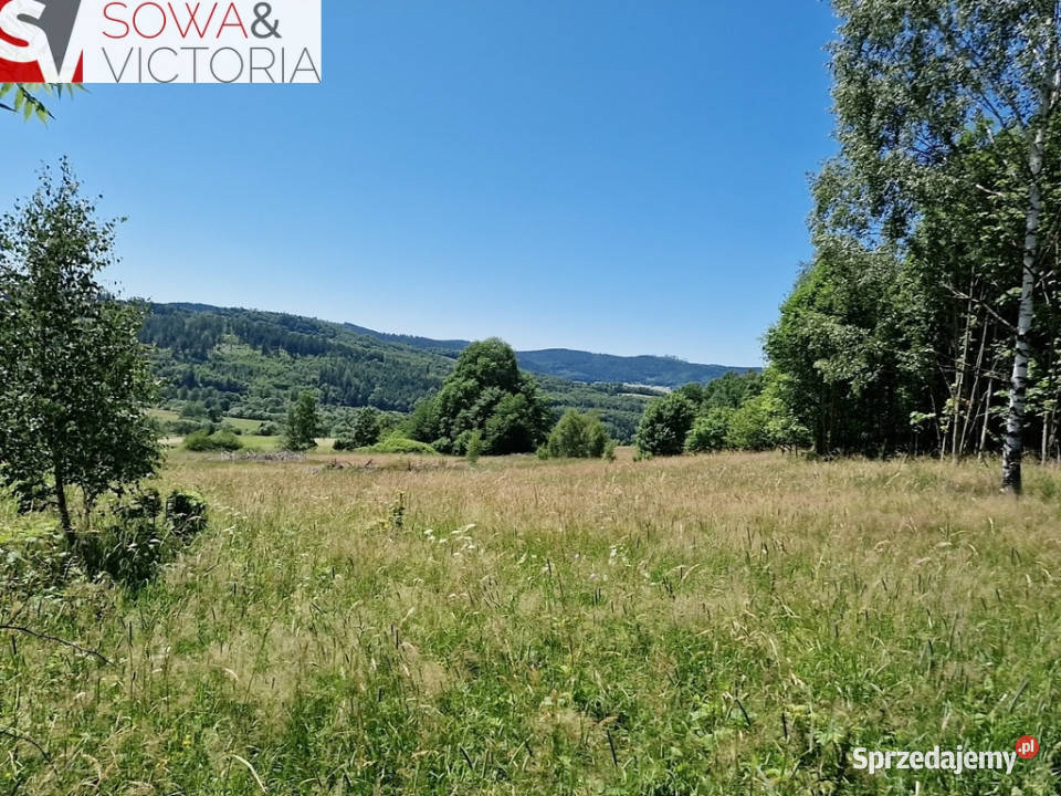 Z widokiem na góry z możliwością WZ Sierpnica sprzedam