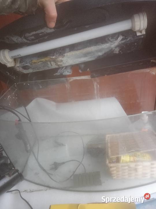 Akwarium 60 l z osprzętem dowóz kujawsko-pomorskie Czernikowo