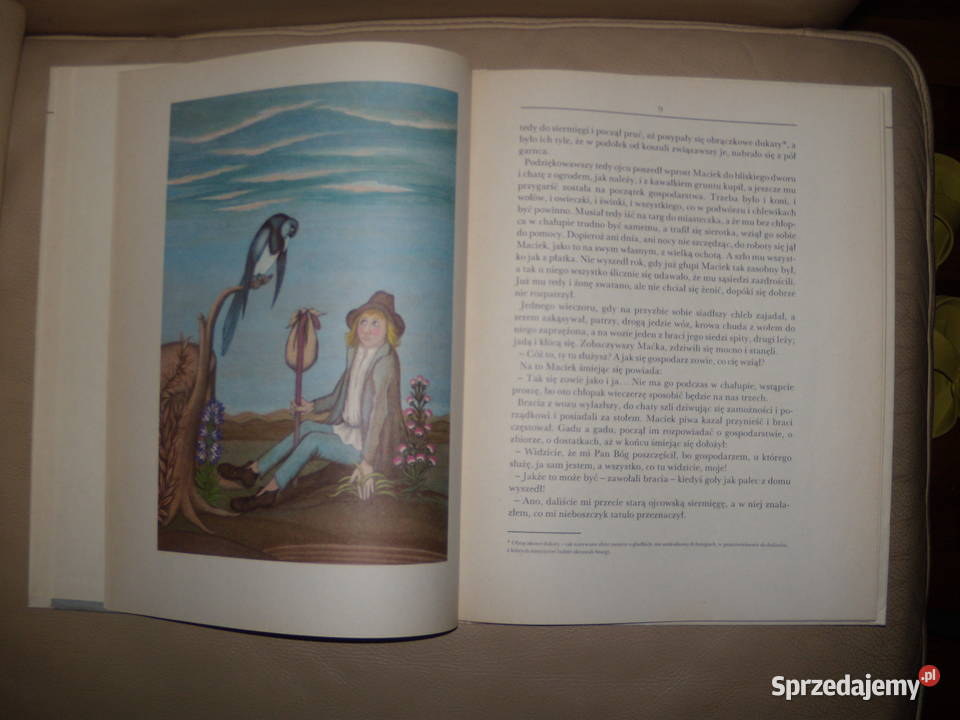 Bajeczki Józef Ignacy Kraszewski Warszawa sprzedam