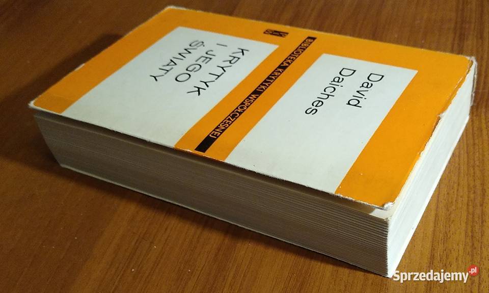 Krytyk i jego światy szkice literackie David literaturoznawstwo Gdańsk