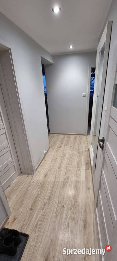 Mieszkanie na sprzedaż w centrum Chorzowa 49m Liczba pokoi 2 śląskie Chorzów sprzedam