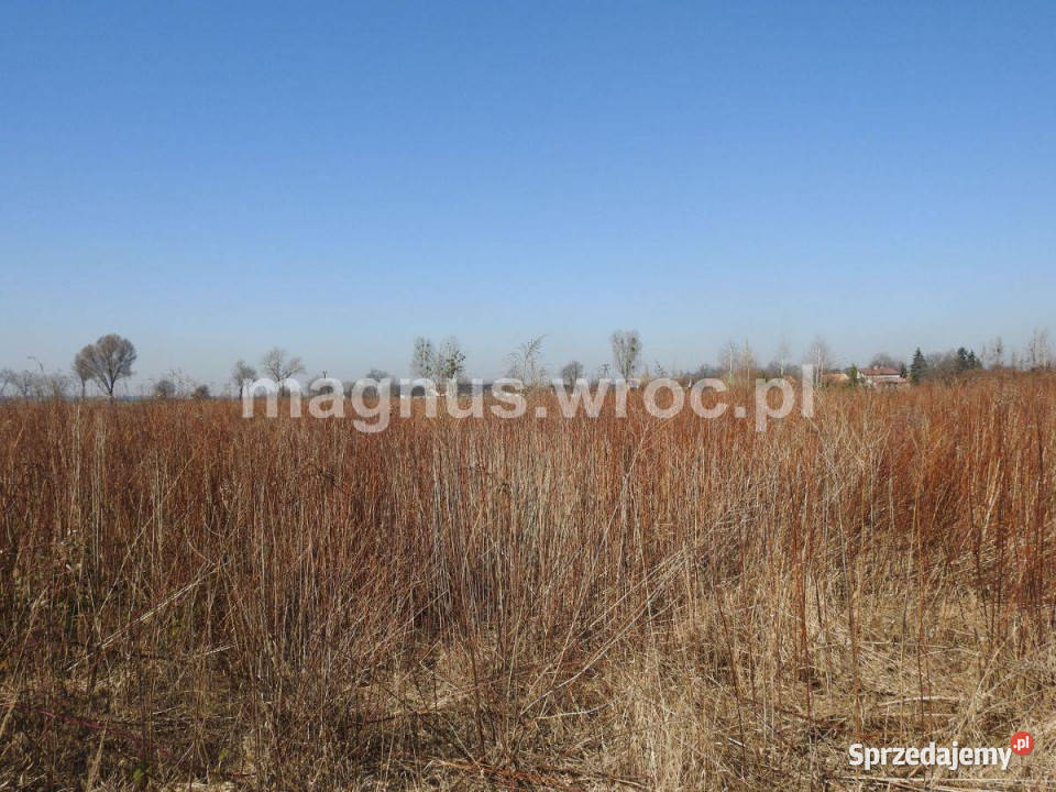Działka zagrodowa w Suchym Dworze Suchy Dwór