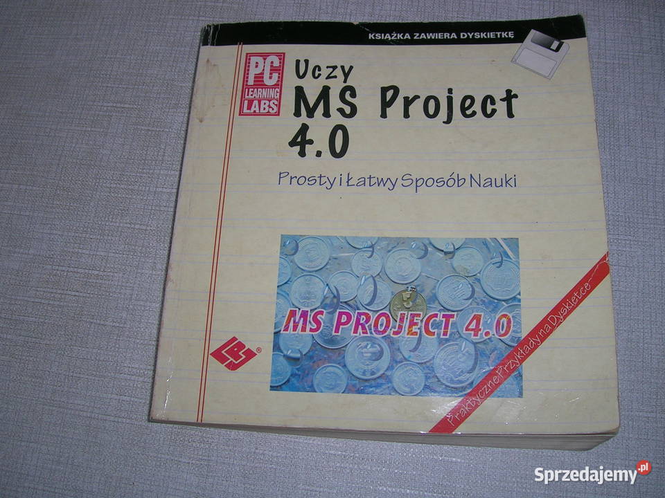 MS Project 4.0