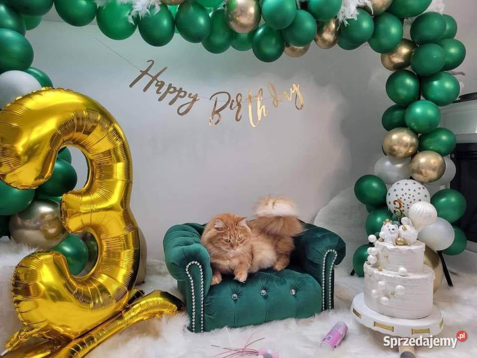 Legowisko kanapa glamour psa kota 100 kolorów Warszawa sprzedam