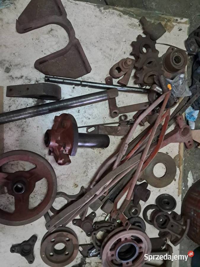 Bizon Zo56 Jasieniec