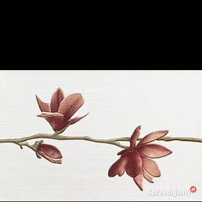 Dekor Kaleydos Magnolia Inserto 2 biały 30 x 45