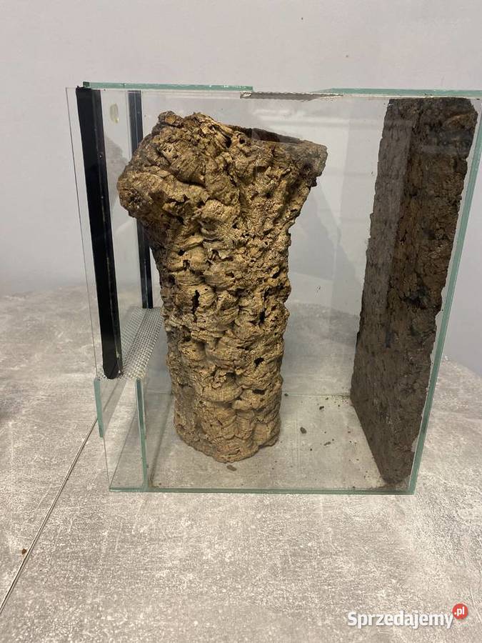 Terrarium 202530 Pozostałe Sosnowiec