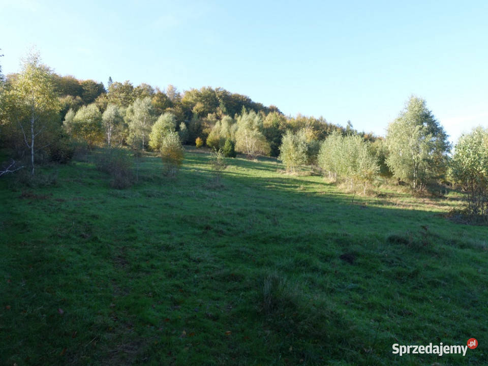 Brenna 253 ha działka inwestycyjna wyciągu