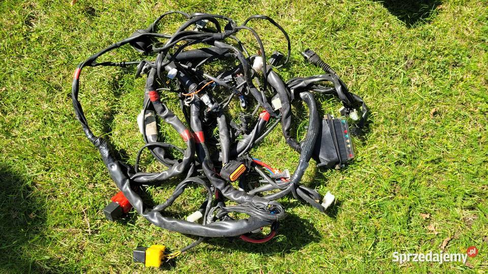 wiazka elektryczna MALAGUTI BLOG