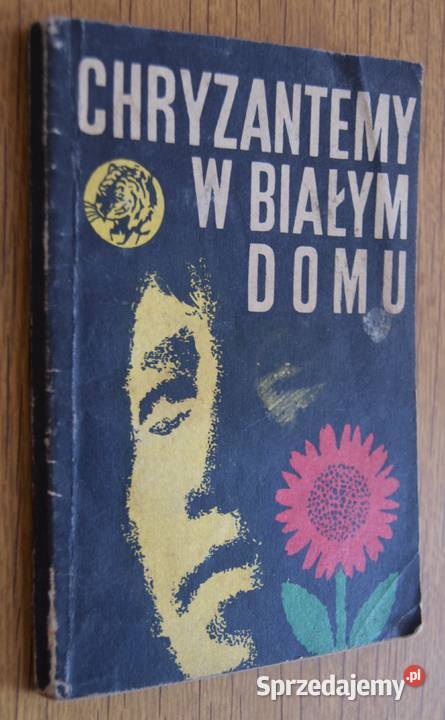 Żółty Tygrys Chryzantemy w Białym domu 1676 Parczew