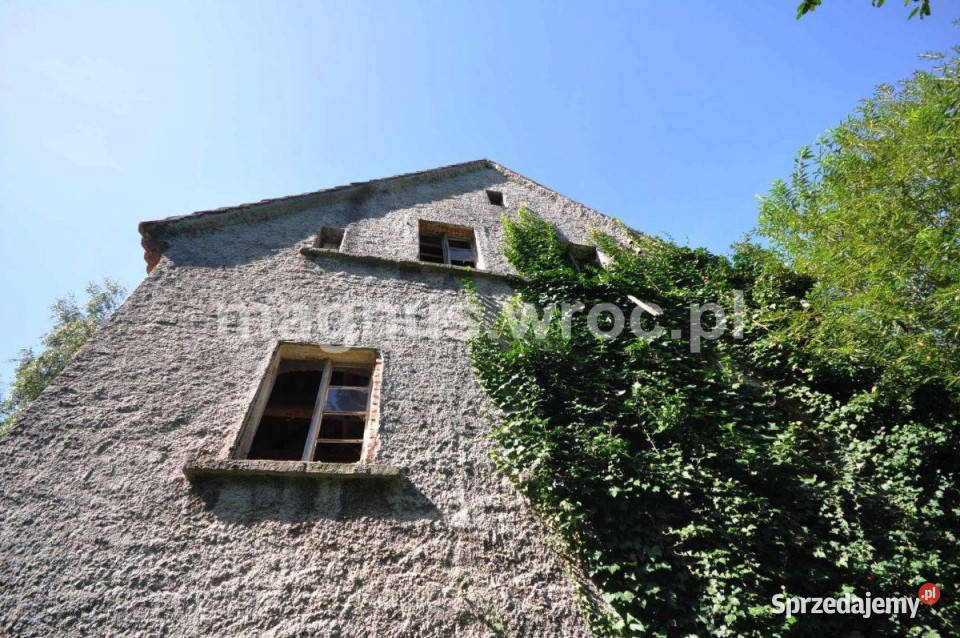 Na sprzedaż działka siedliskowa w Grzmiącej ze Sprzedaż dolnośląskie Grzmiąca