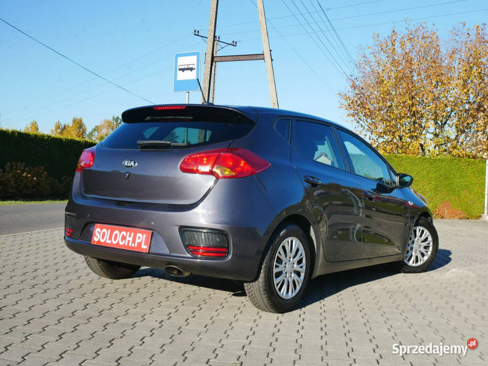 Kia Ceed FL 10TGDI 100 Eu6 Titan Serwisy do Kia