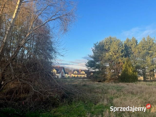 Sprzedaż gruntu Oleśniczka 1163m2 1163m2 Sprzedaż