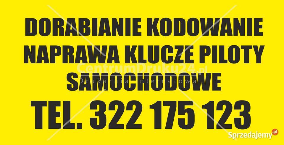 Karta Renault Laguna Espace Scenic Naprawa