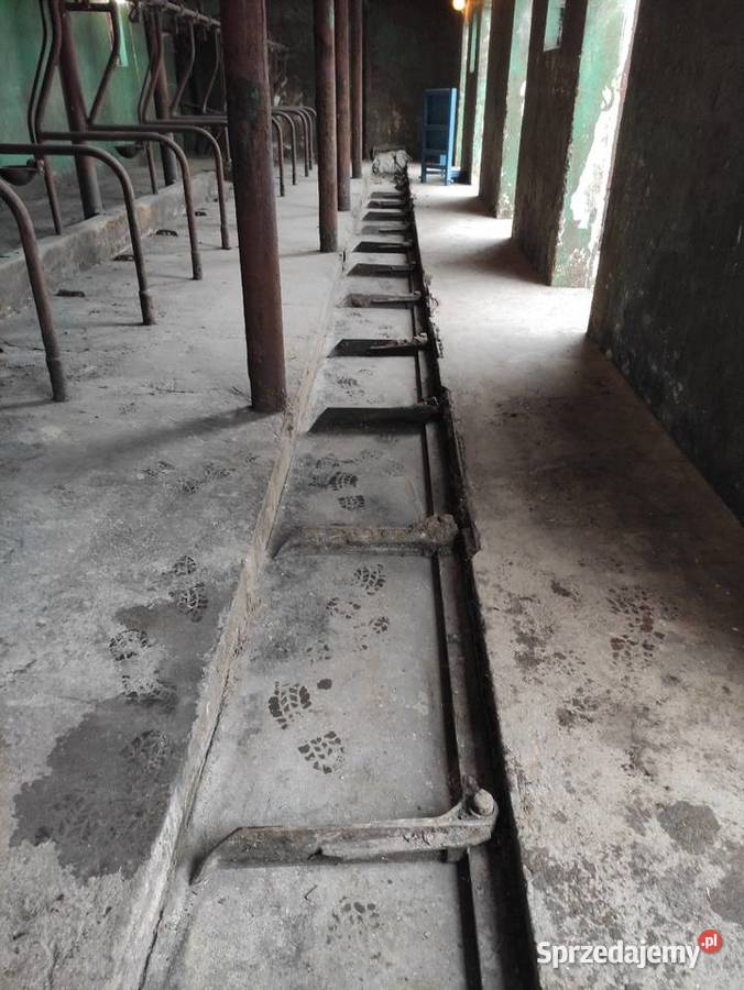 Wyciąg do obornika hydrauliczny łapowy TORNADO Pozostałe Przechód