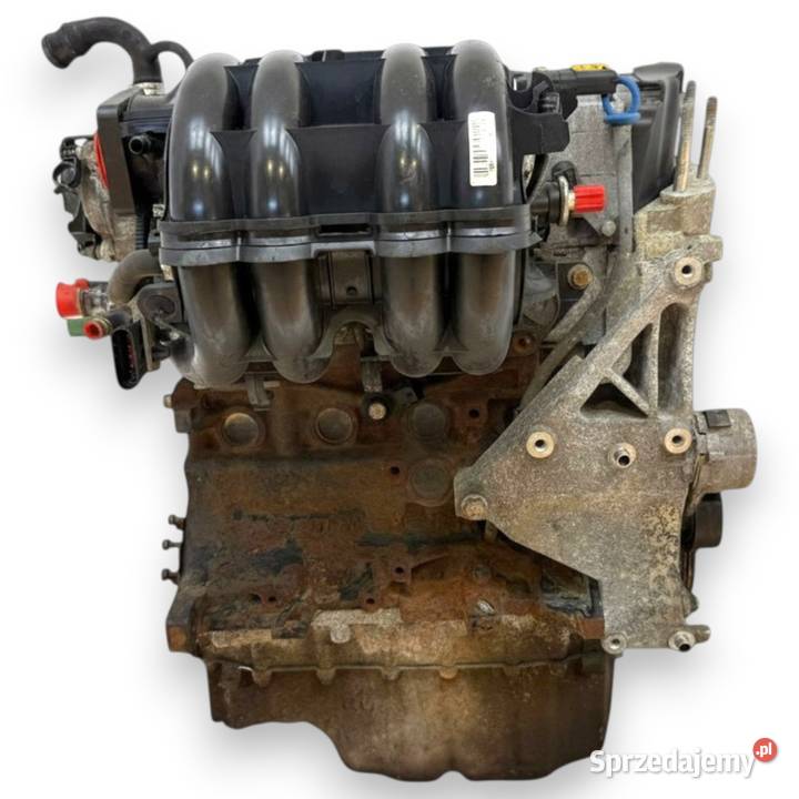 SILNIK 169A3000 Fiat 500 Panda II 14 16V 100 osobowe Chełm