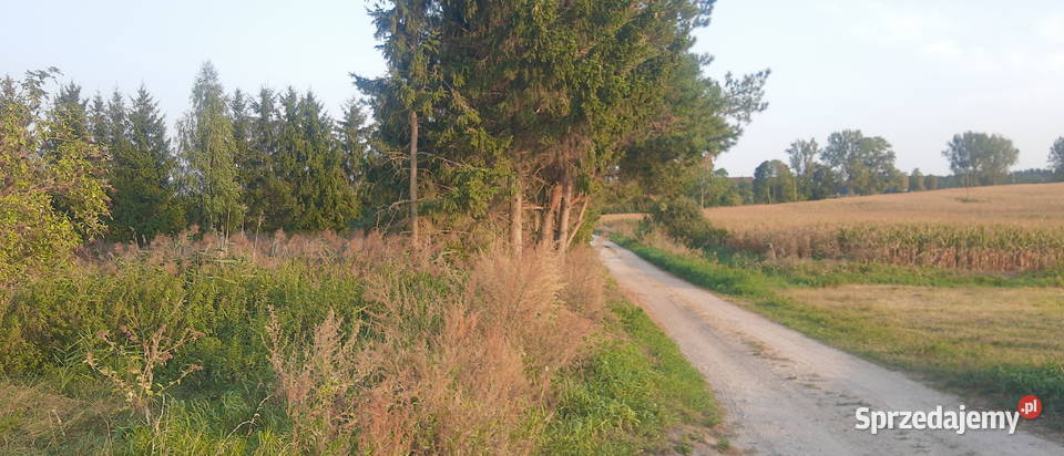 Mazury jeziorem warunki zabudowy warmińsko-mazurskie sprzedam