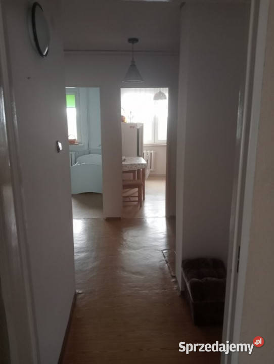 3pokojowe mieszkanie w świetnej lokalizacji Liczba pokoi 3 Krapkowice
