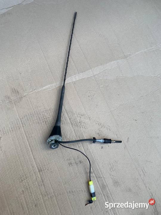 Antena dachowa bat Nissan primera p11 lift Motoryzacja zachodniopomorskie Szczecin