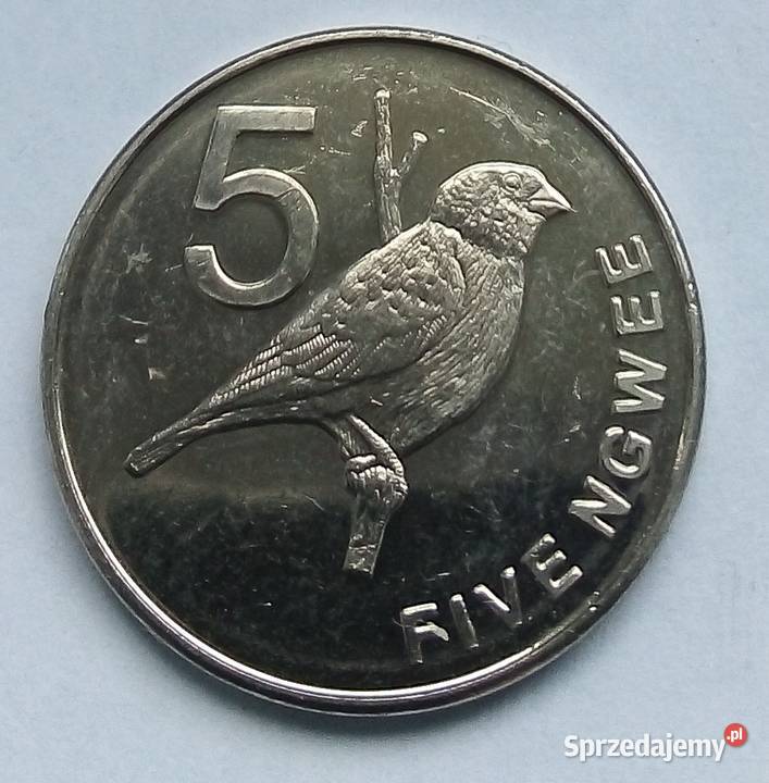 ZAMBIA5 NGWEE2012 r PTAKŁADNA mazowieckie