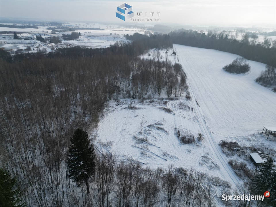 Do sprzedaży dom wolnostojący 325m2 Marwałd