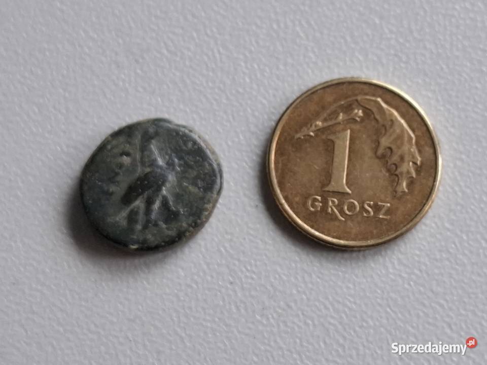 Moneta antyczna Grecja Aeolis Kyme 350250 BC pomorskie