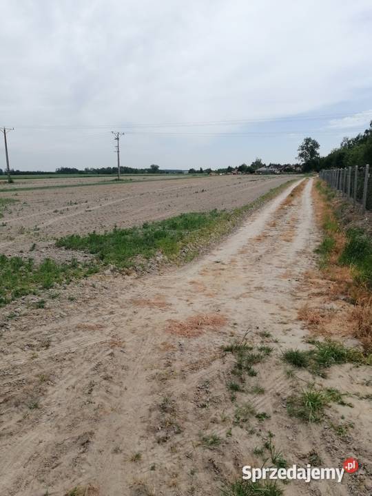 Udział w nieruchomości gruntowej niezabudowanej Parczew