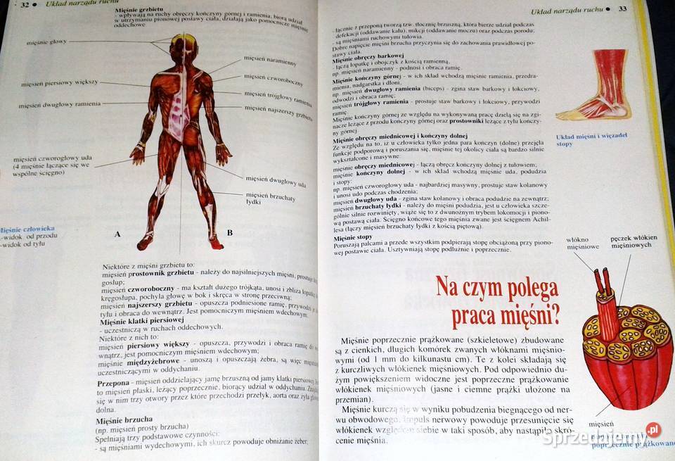 Biologia 7 Wiesława Gołda Jadwiga Wardas Pozostałe Chełm